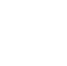 Github Logo